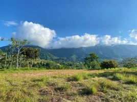  Land for sale in Osa, Puntarenas, Osa