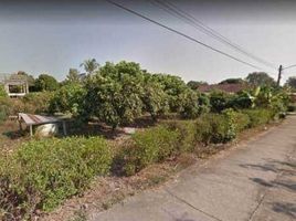  Grundstück zu verkaufen in Mae Taeng, Chiang Mai, San Mahaphon