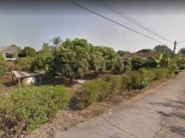  Land for sale in San Mahaphon, Mae Taeng, San Mahaphon