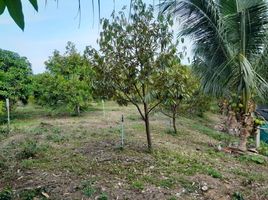  Land for sale in Rawai, Phuket Town, Rawai