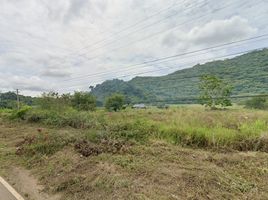  Land for sale in Nakhon Ratchasima, Nong Nam Daeng, Pak Chong, Nakhon Ratchasima