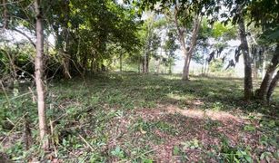 N/A Land for sale in Mai Khao, Phuket 