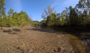 N/A Land for sale in Ko Phra Thong, Phangnga 