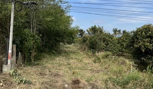 N/A Grundstück zu verkaufen in Khlong Muang, Nakhon Ratchasima 