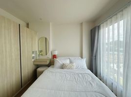 1 Bedroom Condo for rent at Phyll Phuket by Central Pattana, Wichit