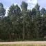  Land for sale in Krok Sombun, Prachin Buri, Krok Sombun, Si Maha Phot, Prachin Buri