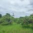  Land for sale in Makhun Wan, San Pa Tong, Makhun Wan