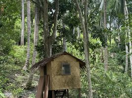  Grundstück zu verkaufen in Ko Pha-Ngan, Surat Thani, Ko Pha-Ngan, Ko Pha-Ngan, Surat Thani