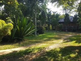  Grundstück zu verkaufen in Mae Taeng, Chiang Mai, Pa Pae