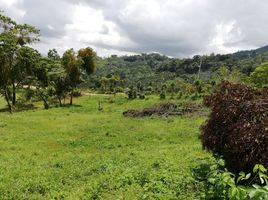  Grundstück zu verkaufen in Perez Zeledon, San Jose, Perez Zeledon, San Jose, Costa Rica