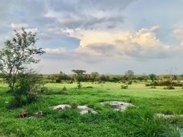  Land for sale in Makluea Kao, Nakhon Ratchasima, Makluea Kao, Sung Noen