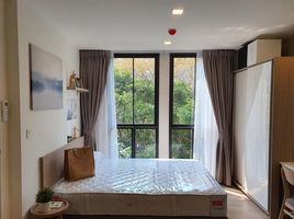 1 Schlafzimmer Wohnung zu verkaufen im Chambers On-Nut Station, Bang Chak, Phra Khanong