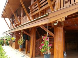 3 Schlafzimmer Villa zu verkaufen in San Kamphaeng, Chiang Mai, Buak Khang, San Kamphaeng