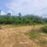  Land for sale in Thalang, Phuket, Pa Khlok, Thalang