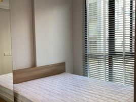 1 Bedroom Condo for rent at Nue Noble Centre Bang Na, Bang Na