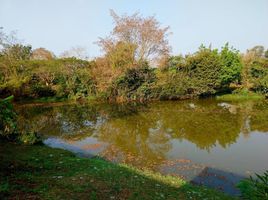  Land for sale in Wiang Chai, Chiang Rai, Wiang Chai, Wiang Chai