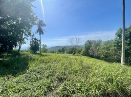  Land for sale in Koh Samui Snake Farm, Taling Ngam, Taling Ngam