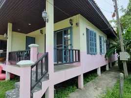 2 Schlafzimmer Reihenhaus zu vermieten in Maenam, Surat Thani, Maenam