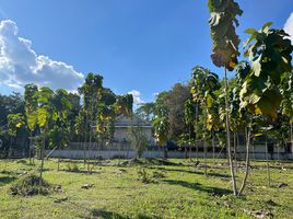 ขายที่ดิน ในโครงการ บ้านพลอยบุรินทร์, ช้างคลาน