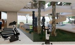 Photo 3 of the Communal Gym at Botanica Foresta