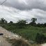  Land for sale in Thailand, Khlong Song Ton Nun, Lat Krabang, Bangkok, Thailand