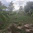  Land for sale in San Sai Luang, San Sai, San Sai Luang