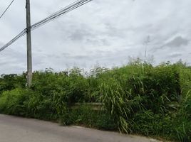  Land for sale in Jomtien, Nong Prue, Nong Prue