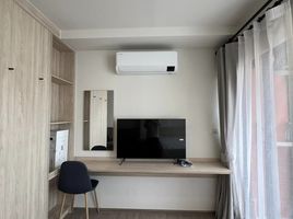1 Bedroom Condo for rent at The Muve Bangna, Bang Na