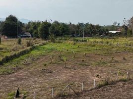  Grundstück zu verkaufen in Huai Sai, Chiang Mai, Huai Sai, Mae Rim, Chiang Mai