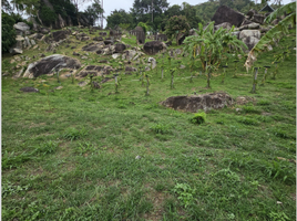  Land for sale in Samui International Airport, Bo Phut, Bo Phut