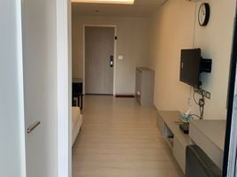 1 Schlafzimmer Appartement zu vermieten im Vtara Sukhumvit 36, Khlong Tan