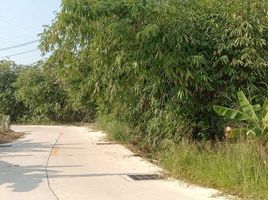  Land for sale in Chon Buri, Mueang, Mueang Chon Buri, Chon Buri