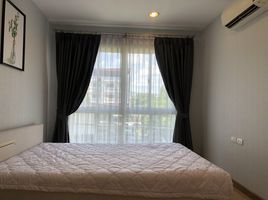 1 Schlafzimmer Appartement zu vermieten im Vio Khaerai, Bang Kraso