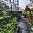 6 Schlafzimmer Hotel / Resort zu verkaufen in Lipa Noi, Surat Thani, Lipa Noi