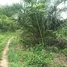  Land for sale in Cape Coast Central, Cape Coast