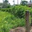  Land for rent in Si Sunthon, Phuket, Si Sunthon, Thalang
