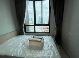 คอนโด 2 ห้องนอน ให้เช่า ในโครงการ นิว เมกา พลัส บางนา, บางแก้ว, บางพลี