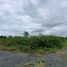  Land for sale in Phsar Kandal, Paoy Paet, Phsar Kandal