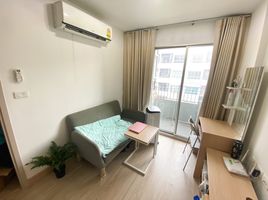 1 Bedroom Condo for rent at Elio Sukhumvit 64, Bang Chak, Phra Khanong, Bangkok, Thailand