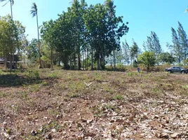  Земельный участок for sale in Сураттани, Don Sak, Don Sak, Сураттани