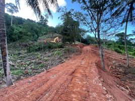  Grundstück zu verkaufen in Thalang, Phuket, Sakhu