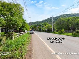  Land for sale in Phaya Yen, Pak Chong, Phaya Yen