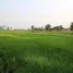  Land for sale in Khamin, Sakon Nakhon, Khamin