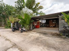 3 Schlafzimmer Villa zu verkaufen in Thalang, Phuket, Pa Khlok