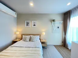 1 Schlafzimmer Appartement zu vermieten im Life Asoke Rama 9, Makkasan