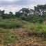  Land for sale in Cabuya, Parita, Cabuya