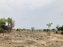  Land for sale in Makluea Kao, Sung Noen, Makluea Kao