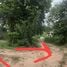  Land for sale in Mueang Nakhon Ratchasima, Nakhon Ratchasima, Pru Yai, Mueang Nakhon Ratchasima