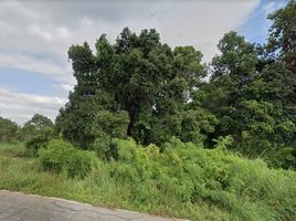  Land for sale in Bua Ban, Yang Talat, Bua Ban