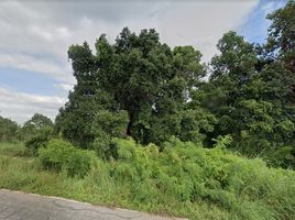  Land for sale in Kalasin, Bua Ban, Yang Talat, Kalasin